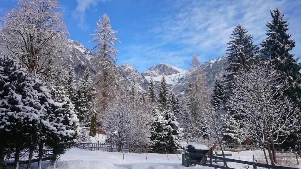 Pension Hofweyer Рамзау-ам-Дахштайн Екстер'єр фото